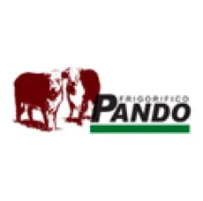 Pando
