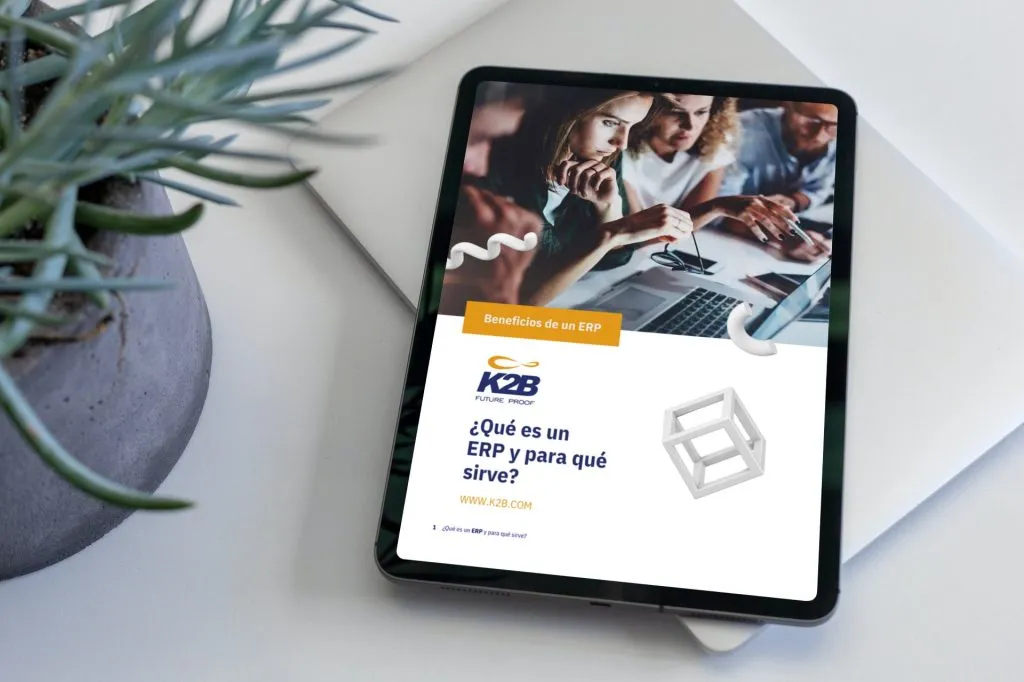 Qué es un ERP