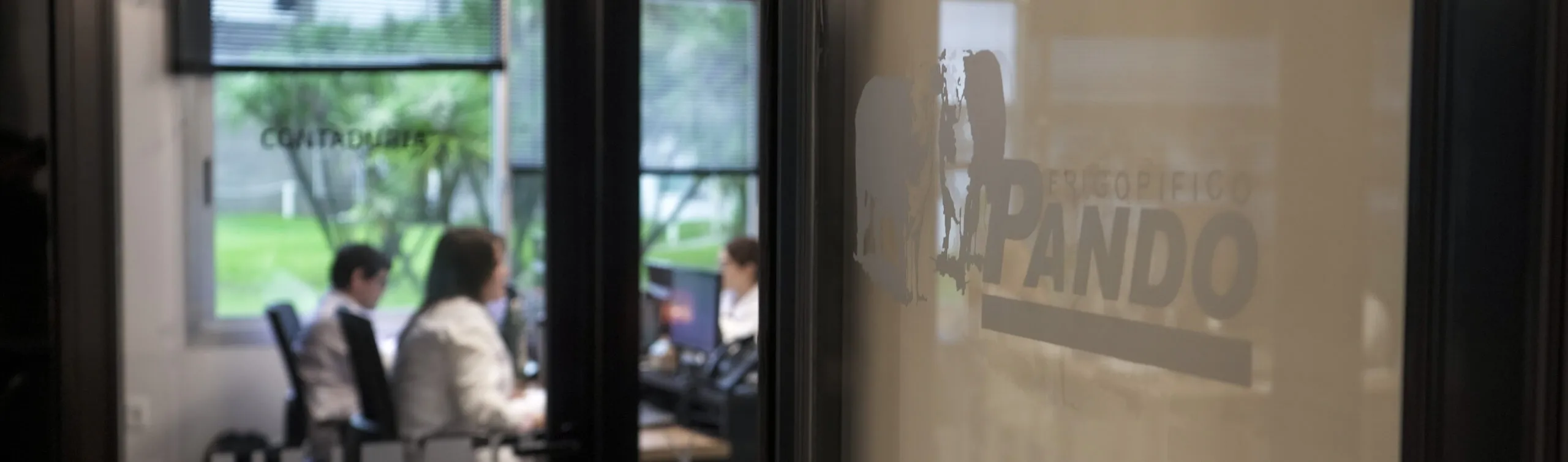 Implementacion erp frigorífico