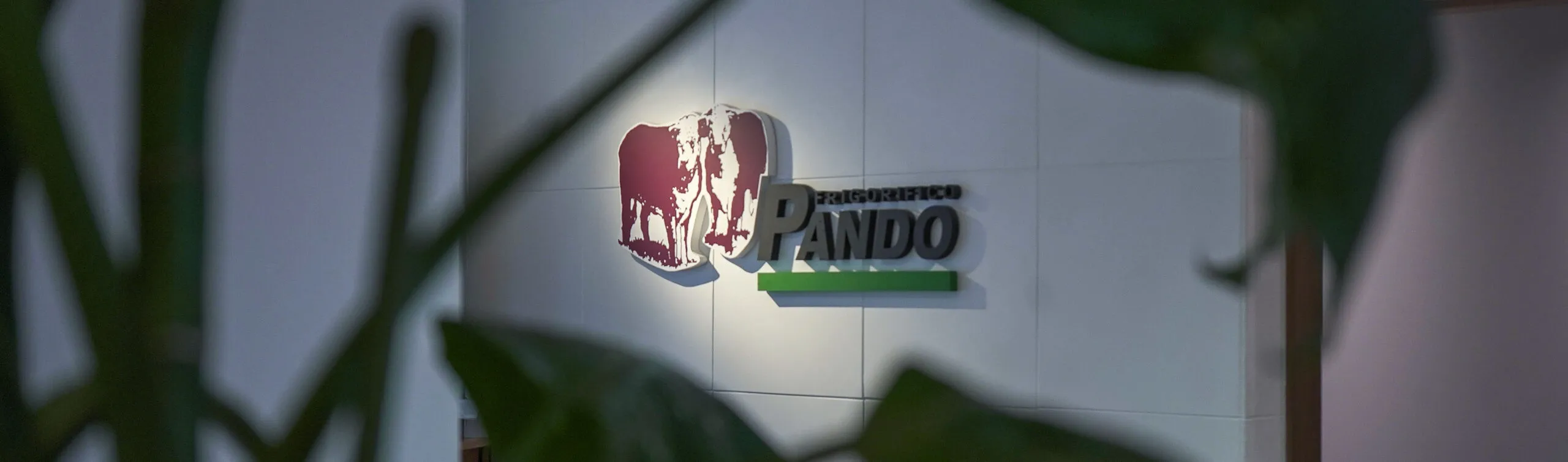 solución ERP para frigorífico