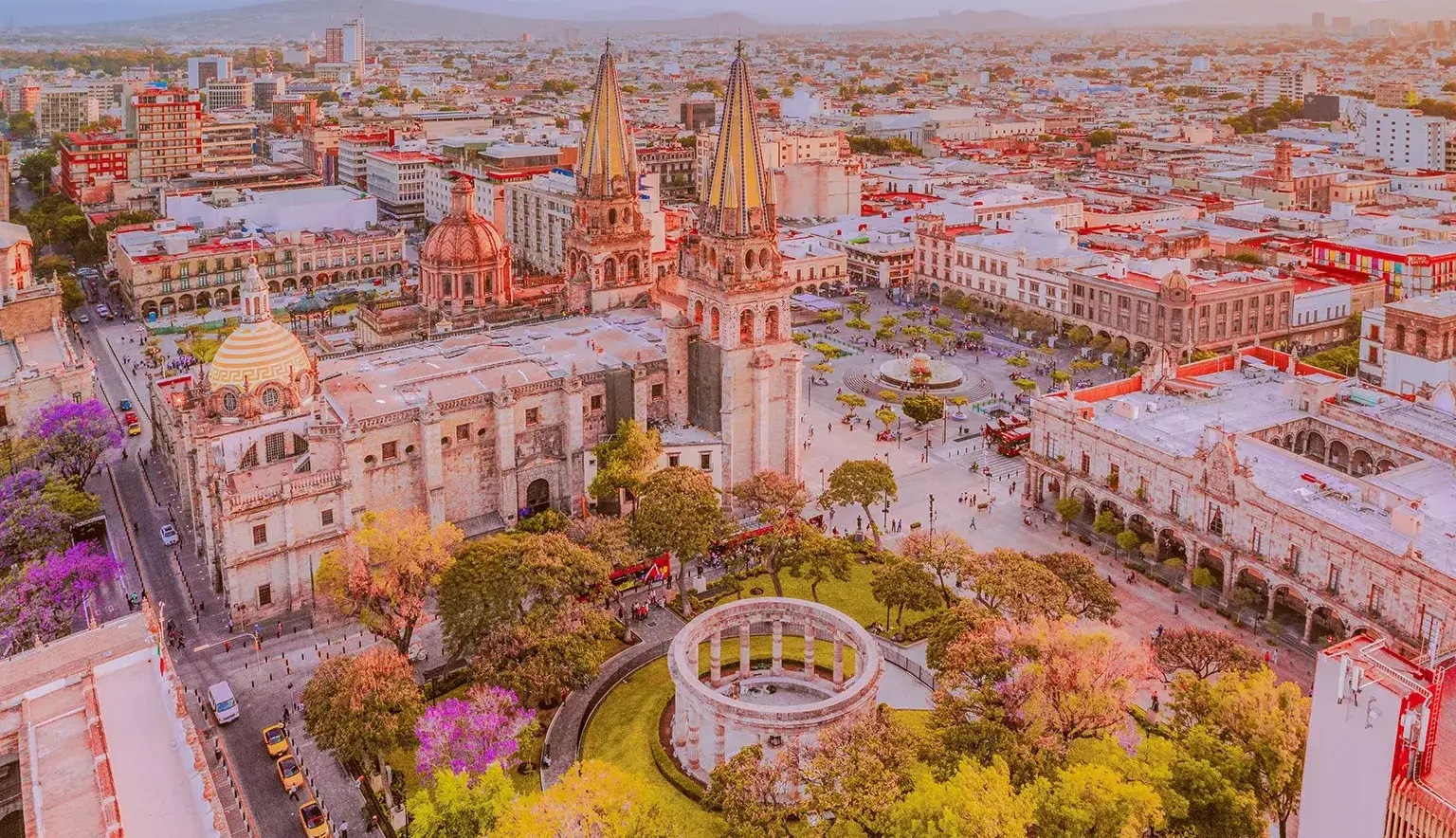 ERP Guadalajara
